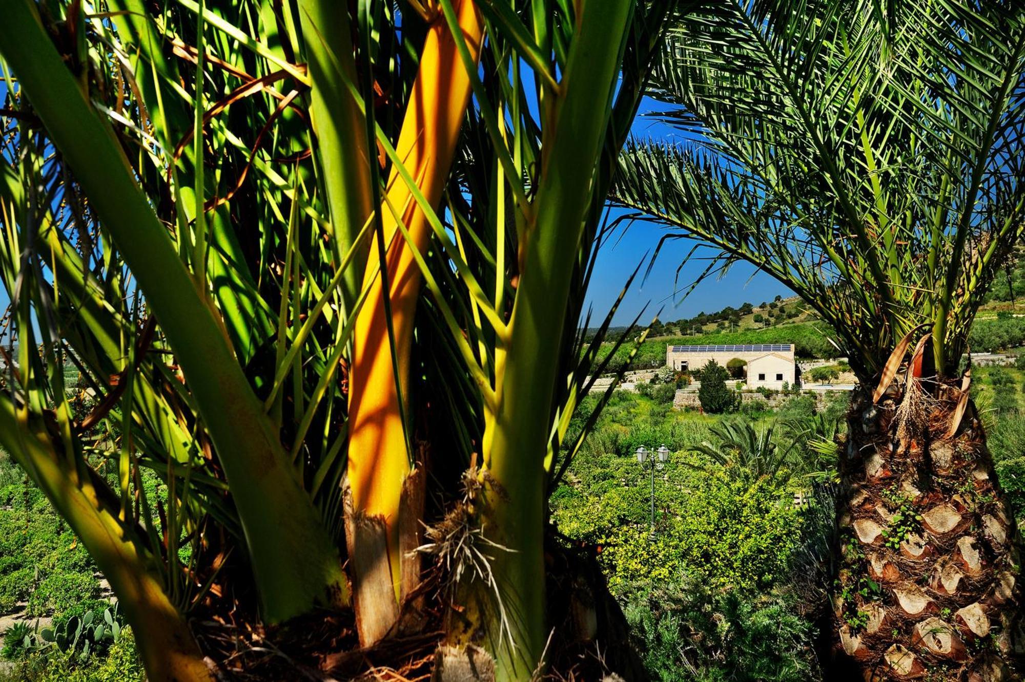 Kallikoros Country Resort & Spa Noto Exterior foto