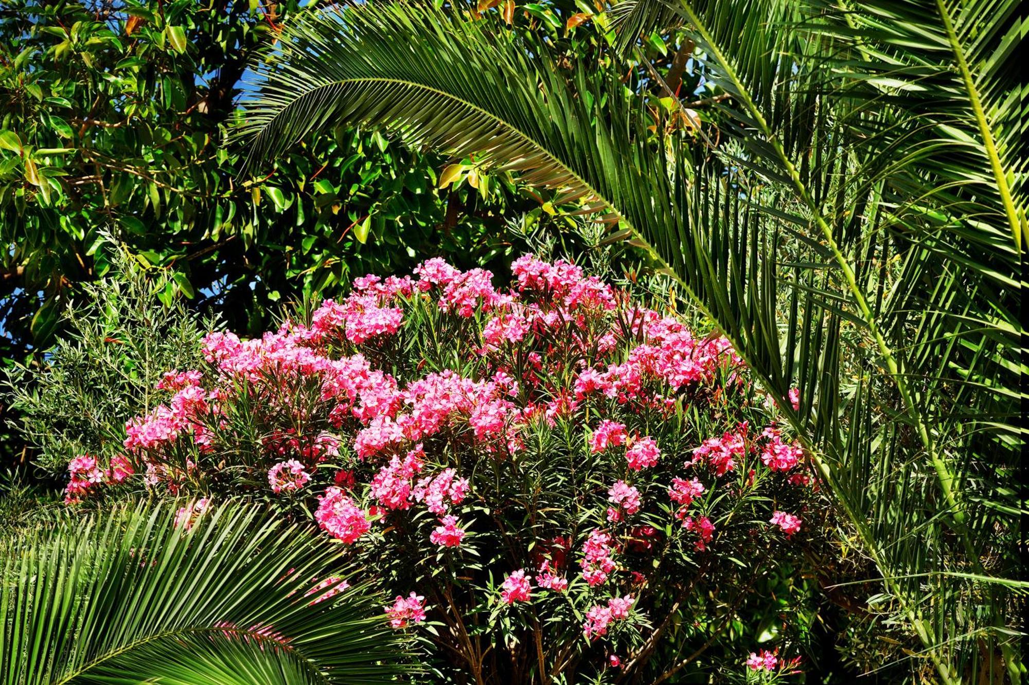Kallikoros Country Resort & Spa Noto Exterior foto