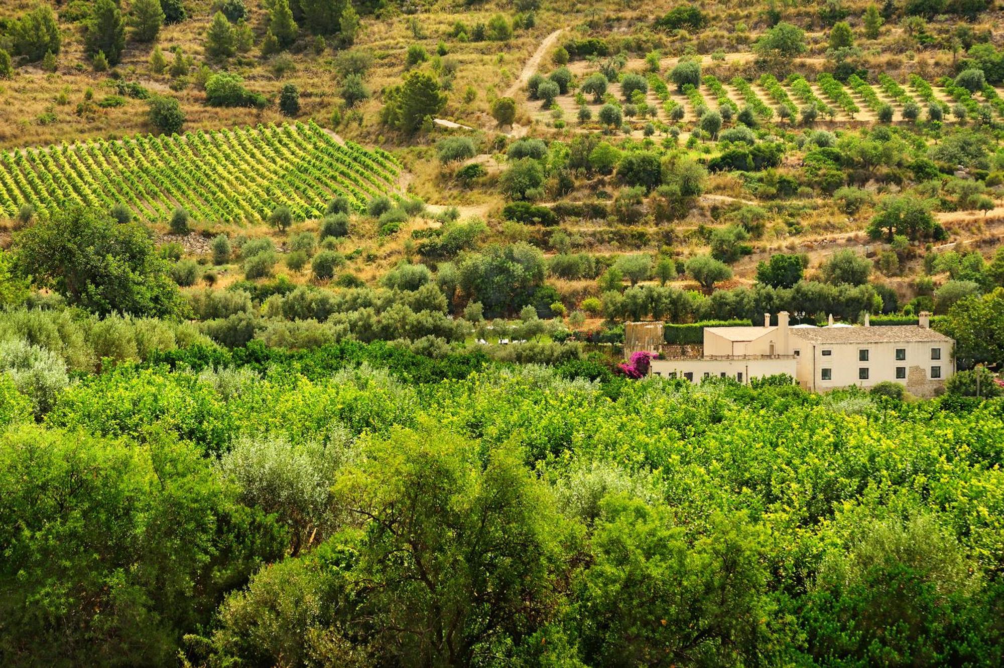 Kallikoros Country Resort & Spa Noto Exterior foto