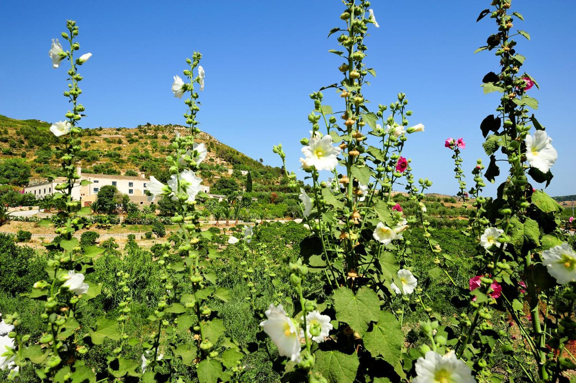 Kallikoros Country Resort & Spa Noto Exterior foto