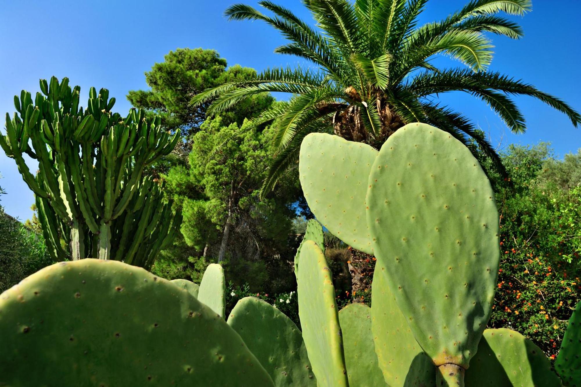 Kallikoros Country Resort & Spa Noto Exterior foto